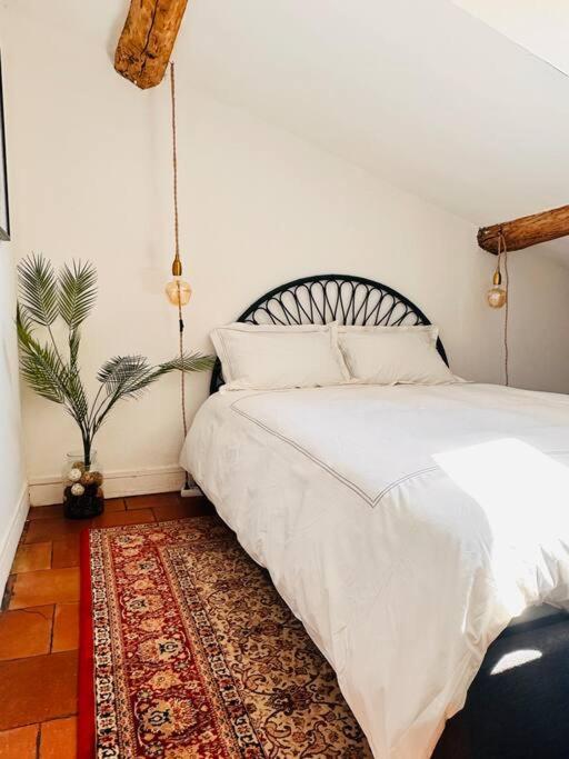Your Getaway Home In Toulouse Center Eksteriør billede